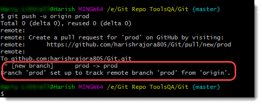 Git Create Branch - Command to Push local branch on Git - Output