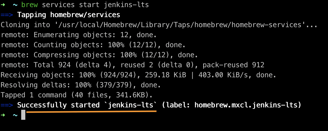 Started Jenkins as service on macOS