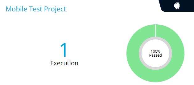 Execution Report Overview