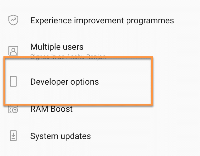 Developer Options in System Menu