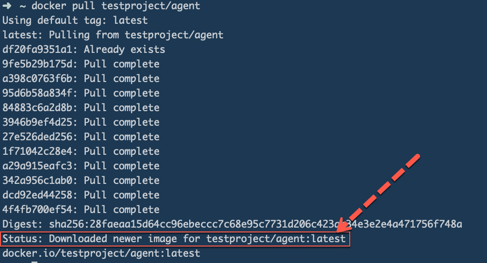 TestProject Docker Agent Succesfully Downloaded